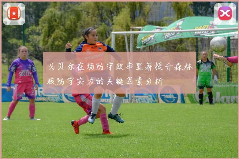 戈贝尔在场防守效率显著提升森林狼防守实力的关键因素分析