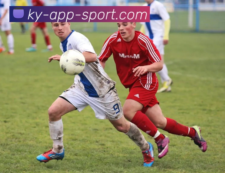 开云体育服务体系